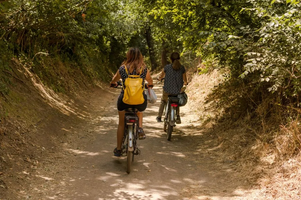 Rome: Appia Antica Day Bike Rental