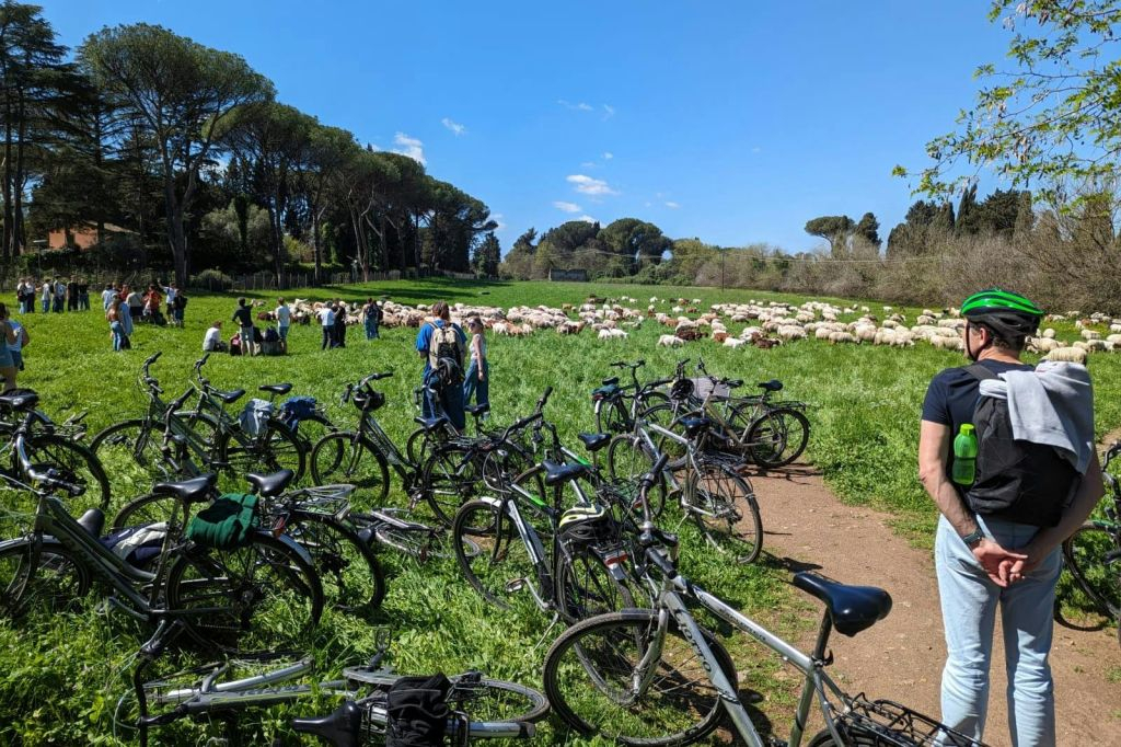Rome: Appia Antica Day Bike Rental