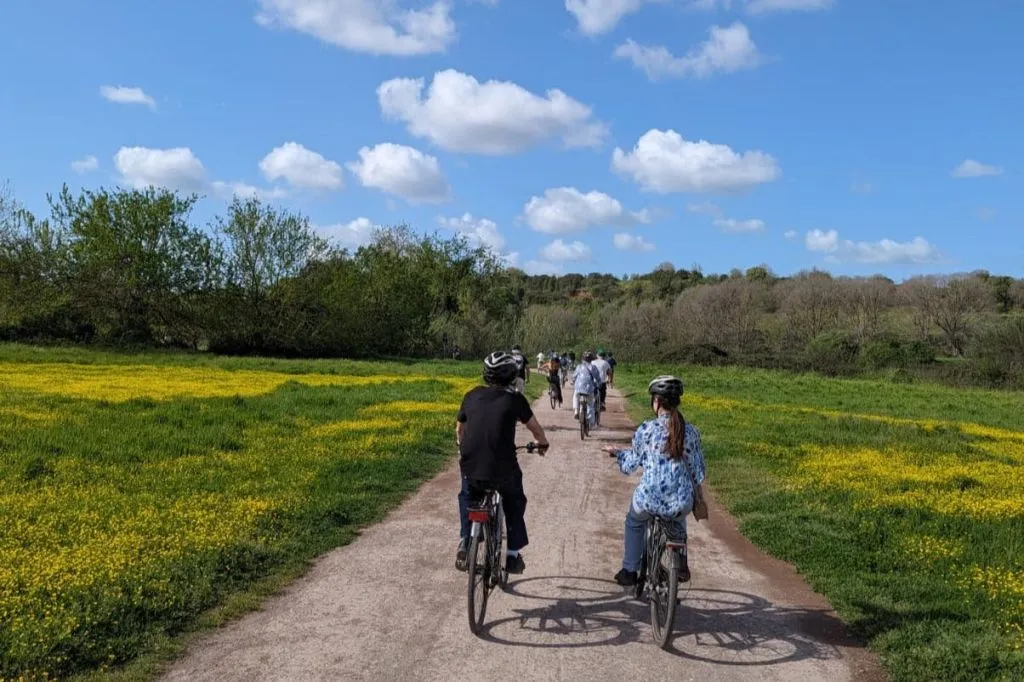 Rome: Appia Antica Day Bike Rental