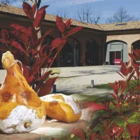 Food Museums: Prosciutto di Parma Museum