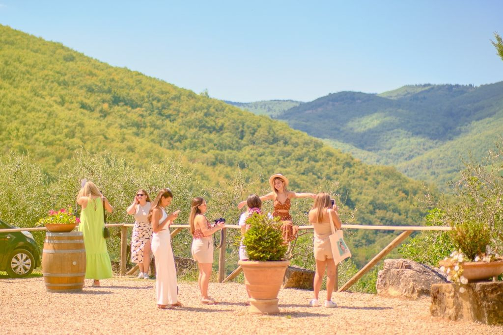 Chianti Vineyards: Half-Day Tour from Florence with Wine Tastings