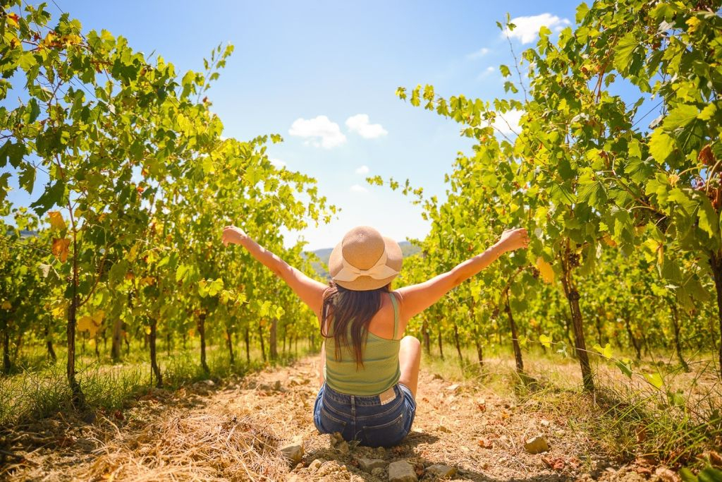 Vignobles du Chianti : Excursion d'une demi-journée au départ de Florence avec dégustations de vins
