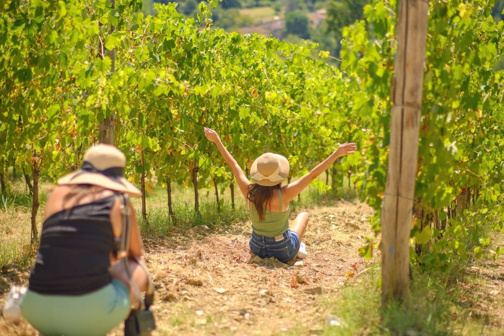 Chianti Vineyards: Half-Day Tour from Florence with Wine Tastings