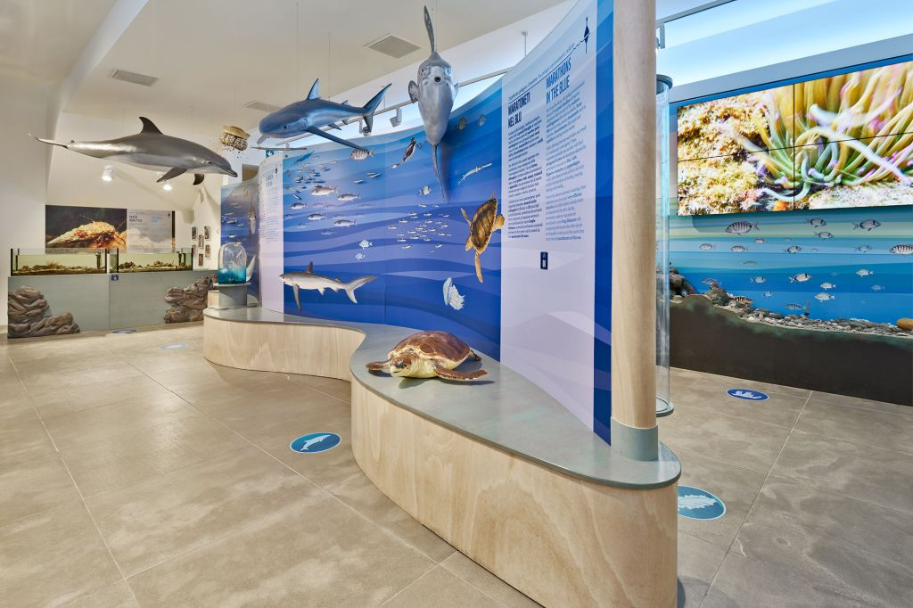 Trieste: Biodiversitario Marino (BioMa)