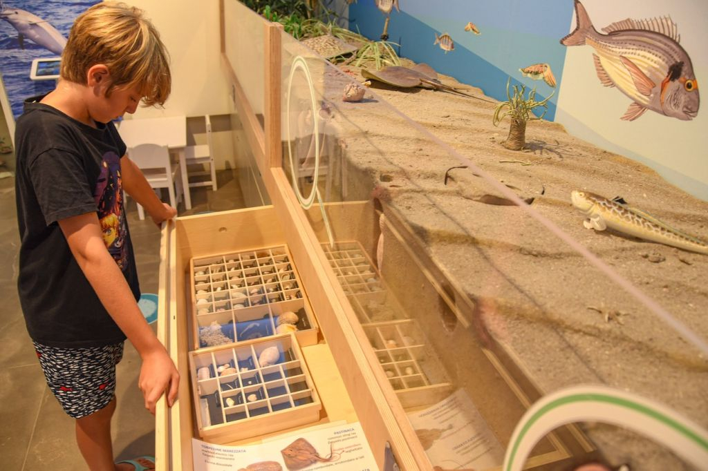 Trieste: Biodiversitário Marino (BioMa)