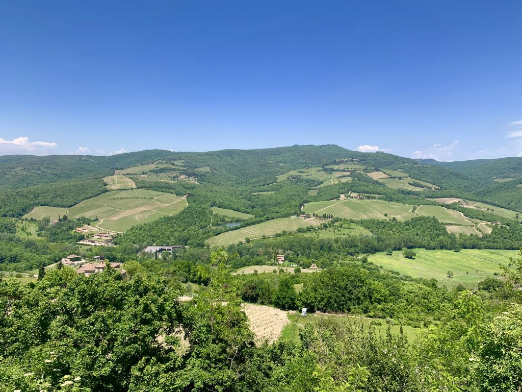 Chianti Hills: Wine Experience from Florence
