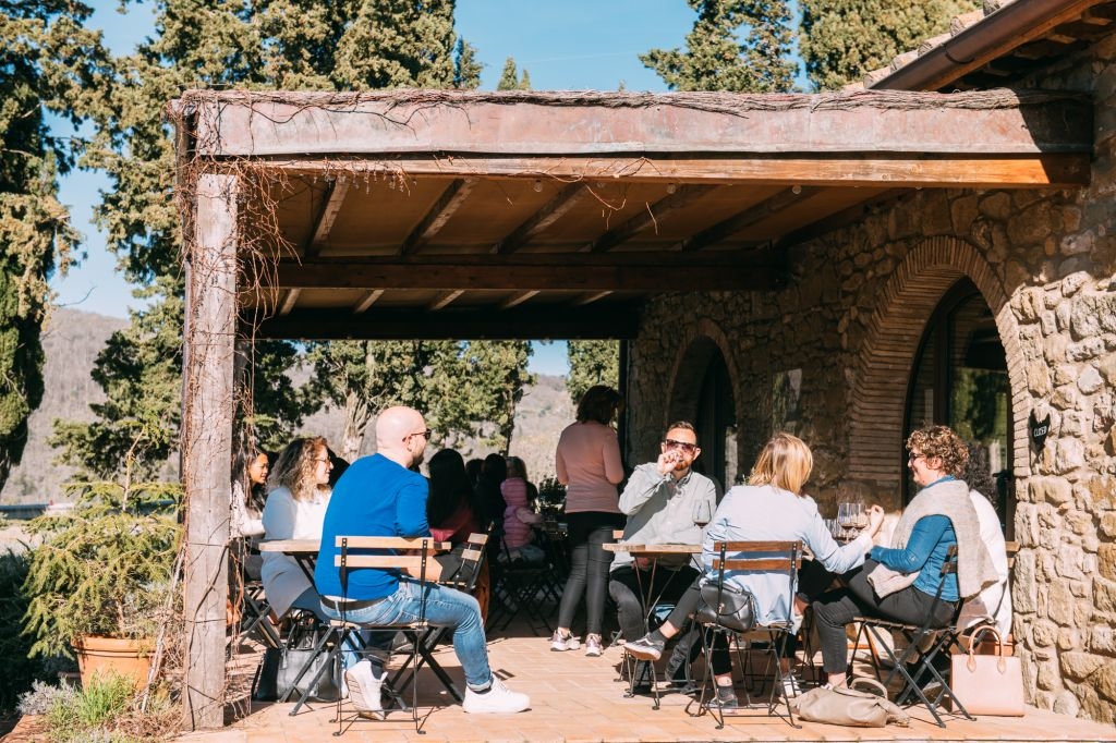 Chianti Hills: Wine Experience from Florence