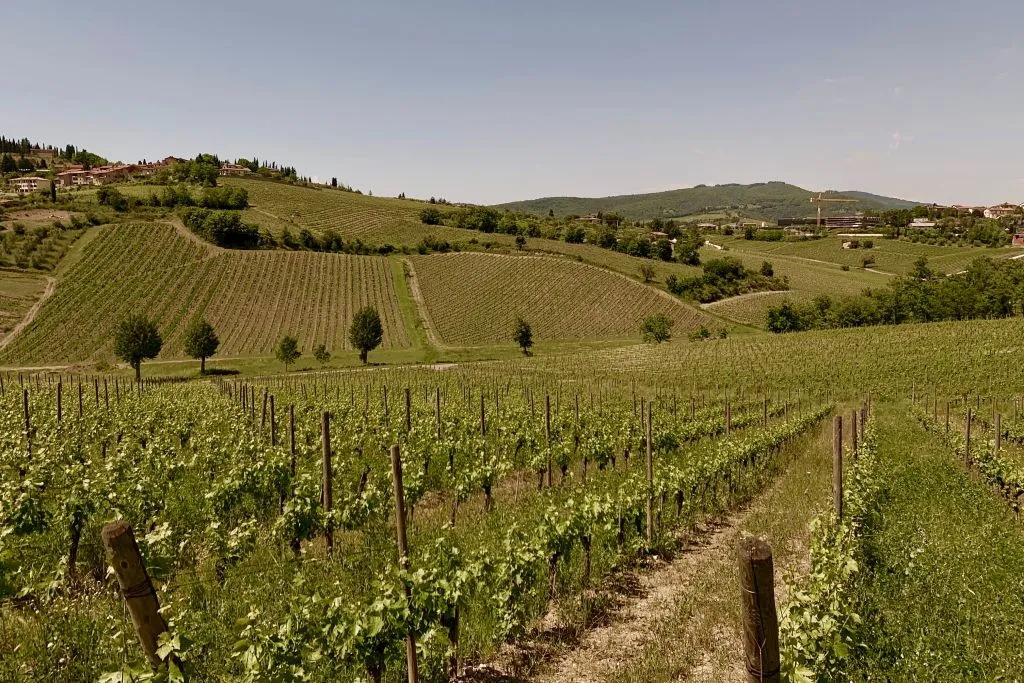 Chianti Hills: Wine Experience from Florence