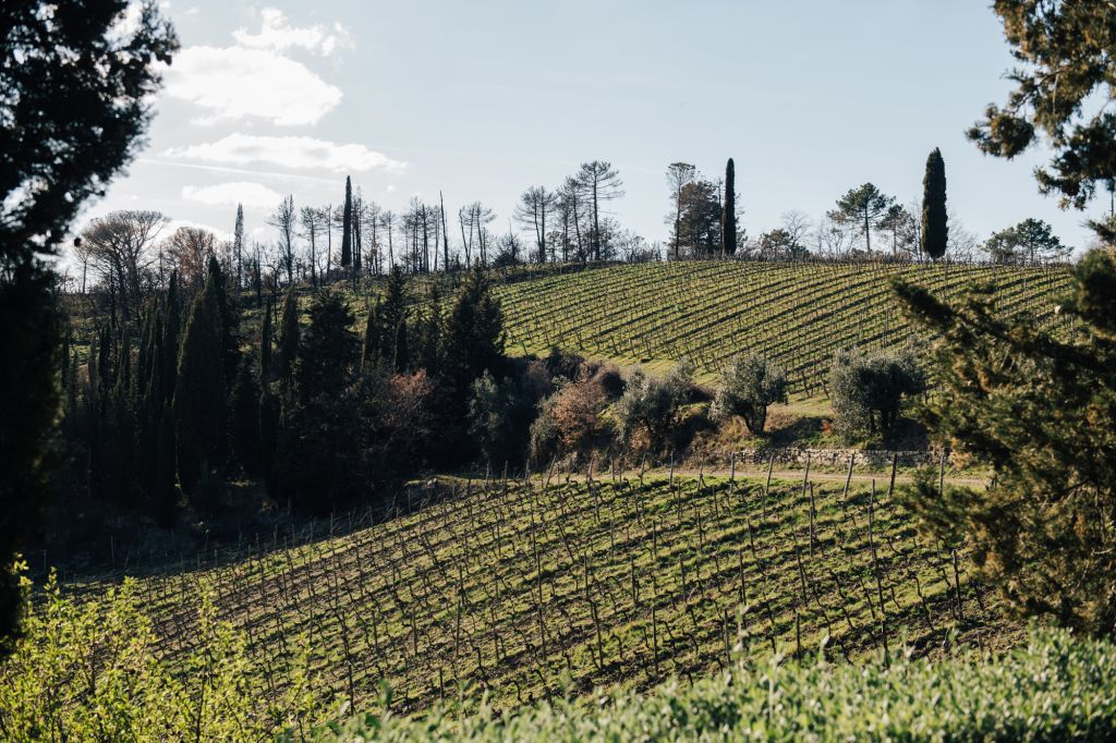 Chianti Hills: Wine Experience from Florence