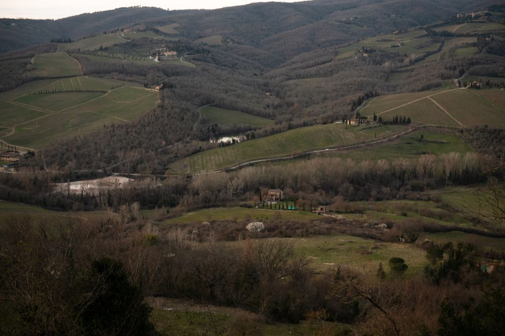 Chianti Hills: Wine Experience from Florence