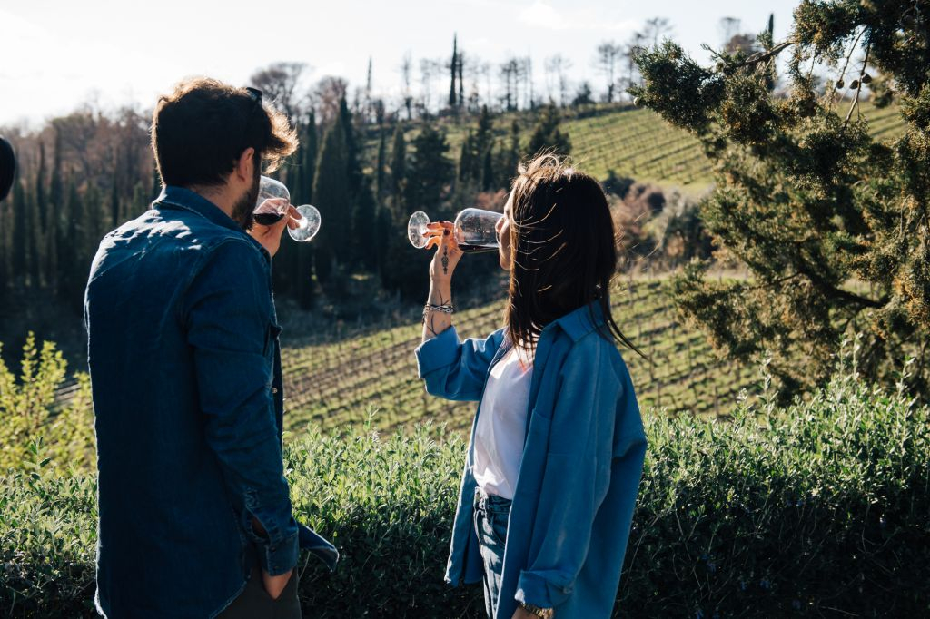 Chianti Hills: Wine Experience from Florence