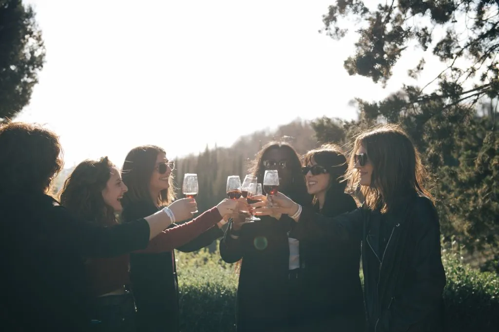 Chianti Hills: Wine Experience from Florence