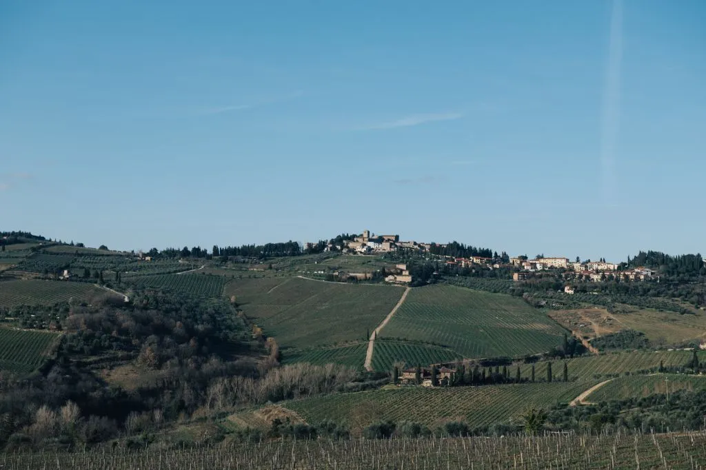 Chianti Hills: Wine Experience from Florence