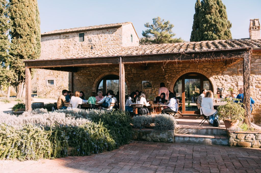 Chianti Hills: Wine Experience from Florence