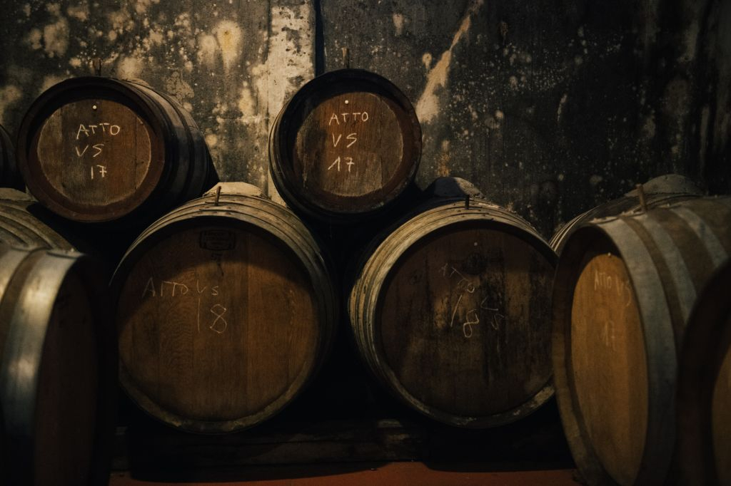 Chianti Hills: Wine Experience from Florence