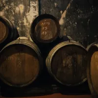 Chianti Hills: Wine Experience from Florence