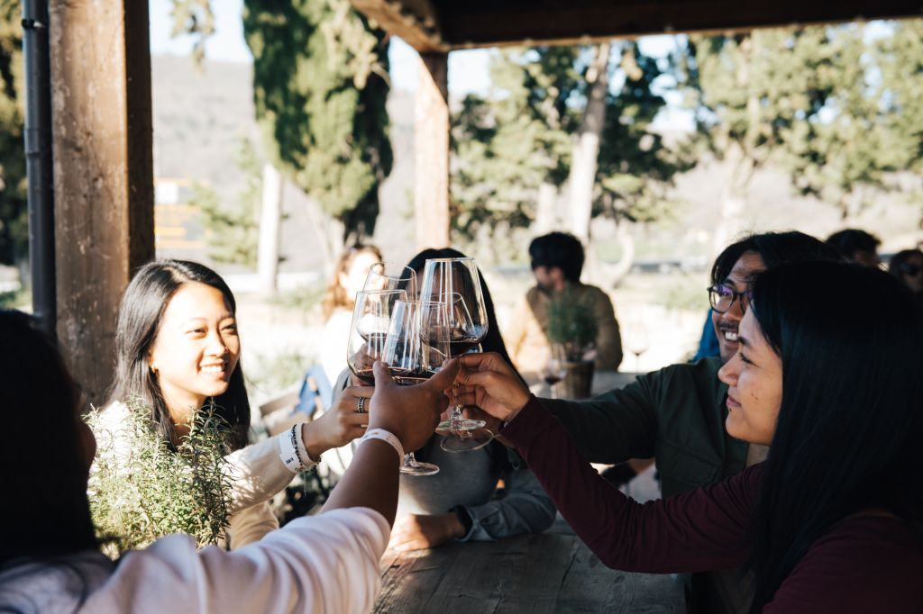 Chianti Hills: Wine Experience from Florence