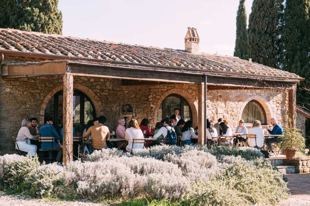 Chianti Hills: Wine Experience from Florence