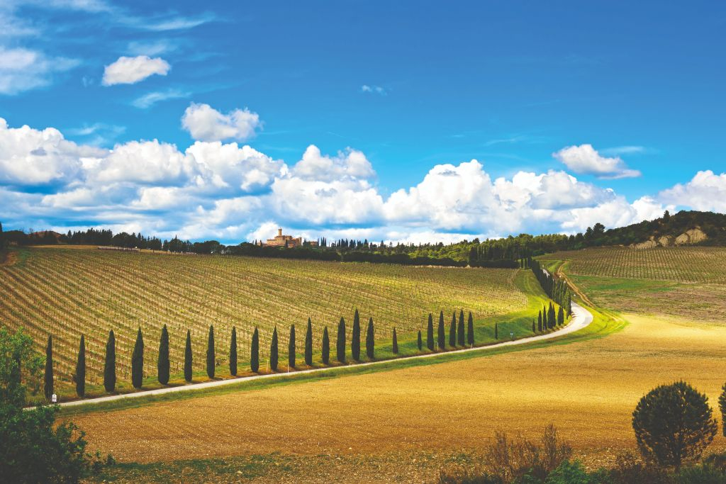 Siena, San Gimignano & Pisa: Day Trip from Florence + Wine Tasting