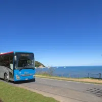 Rome: Bus To/From Fiumicino Airport and Siena Central Station