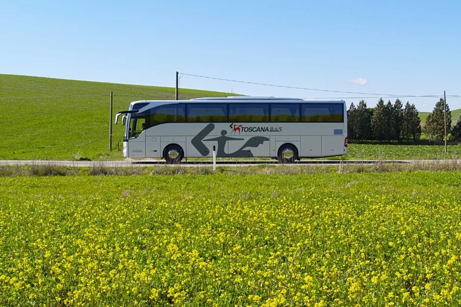 Rome: Bus To/From Fiumicino Airport and Siena Central Station