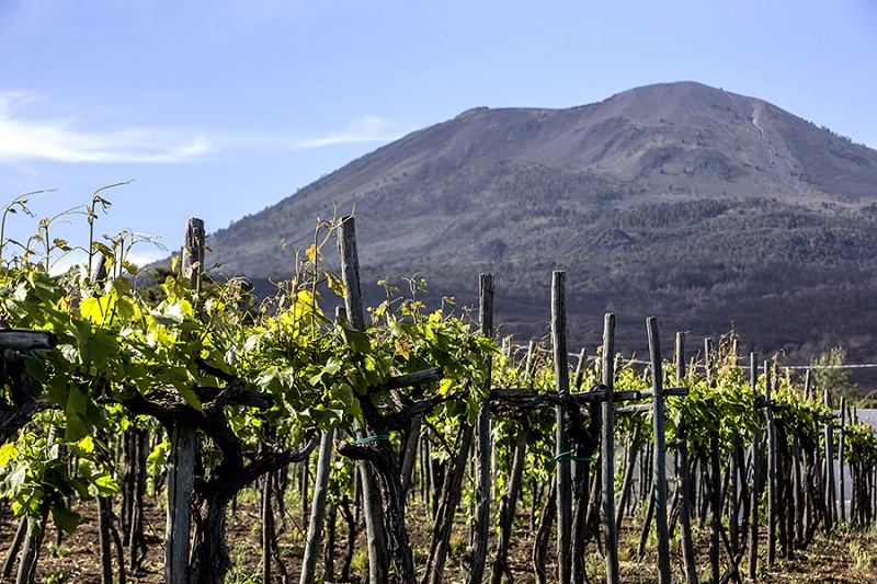 Degustazione di Vini sul Vesuvio
