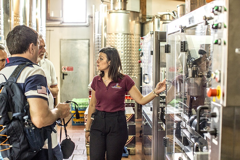 Vesuvius: Wine Tasting