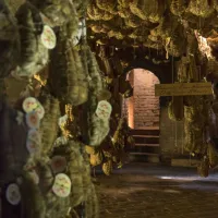 Food Museums: Culatello di Zibello Museum
