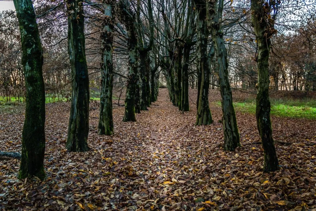 Bosco WWF di Vanzago: Escursione Guidata