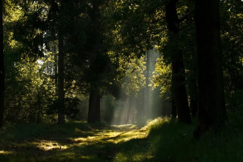 Bosco WWF di Vanzago: Escursione Guidata