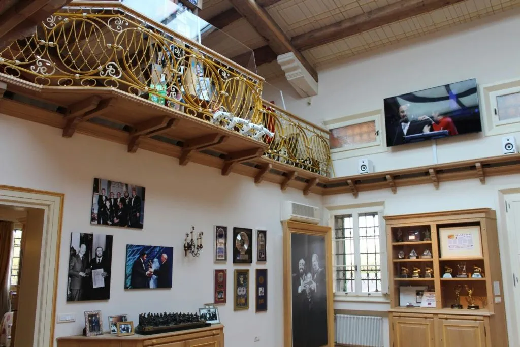 Casa Museo Luciano Pavarotti: Biglietto d'ingresso