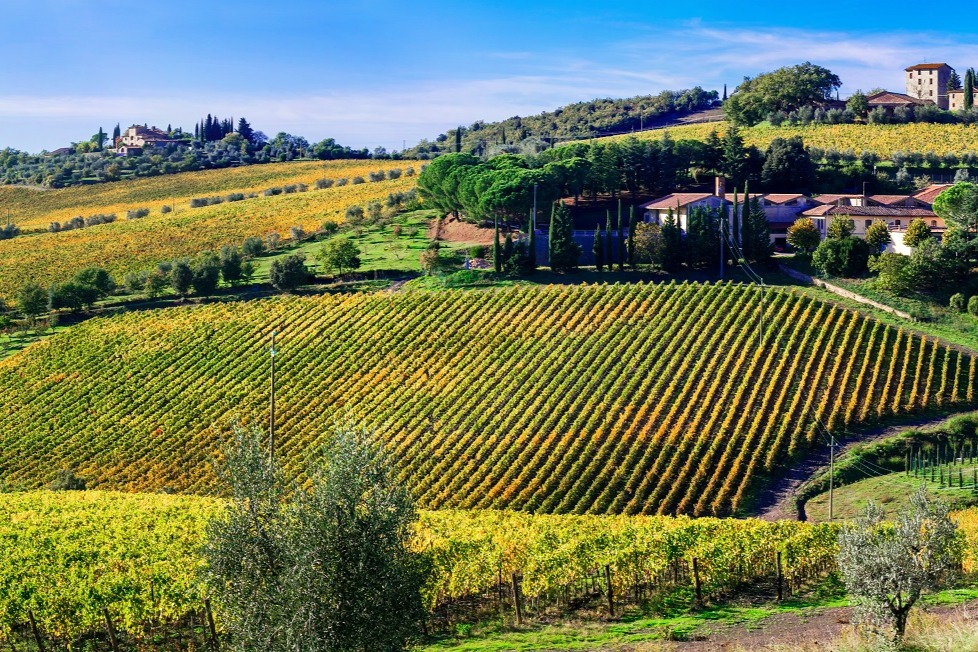 Siena to Montalcino: Brunello Wine Tour