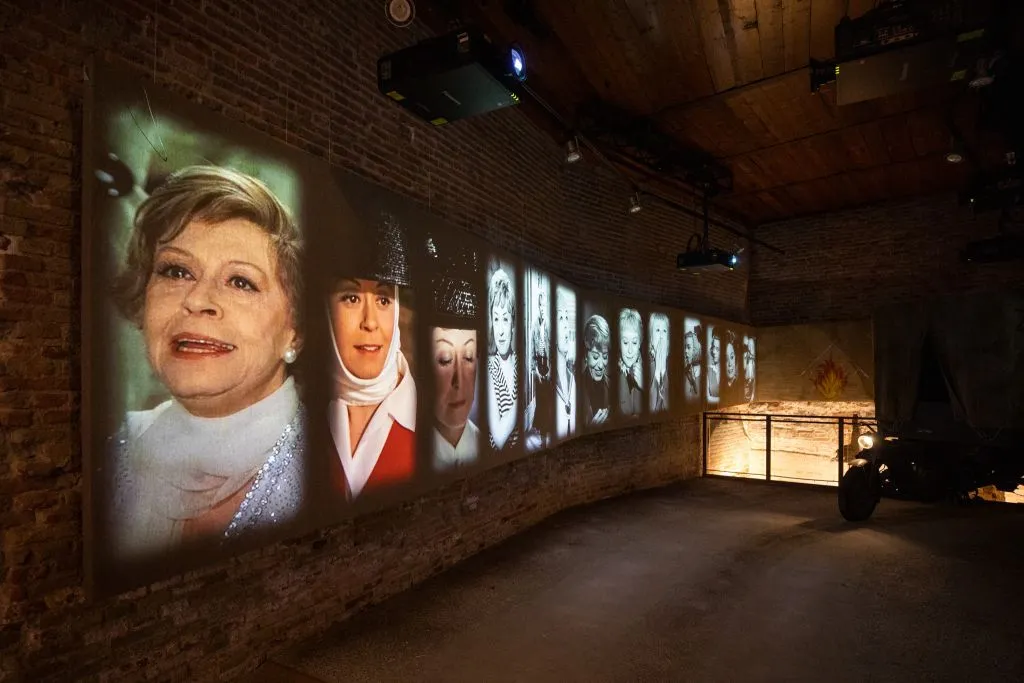 Museo Fellini: Biglietto d'ingresso