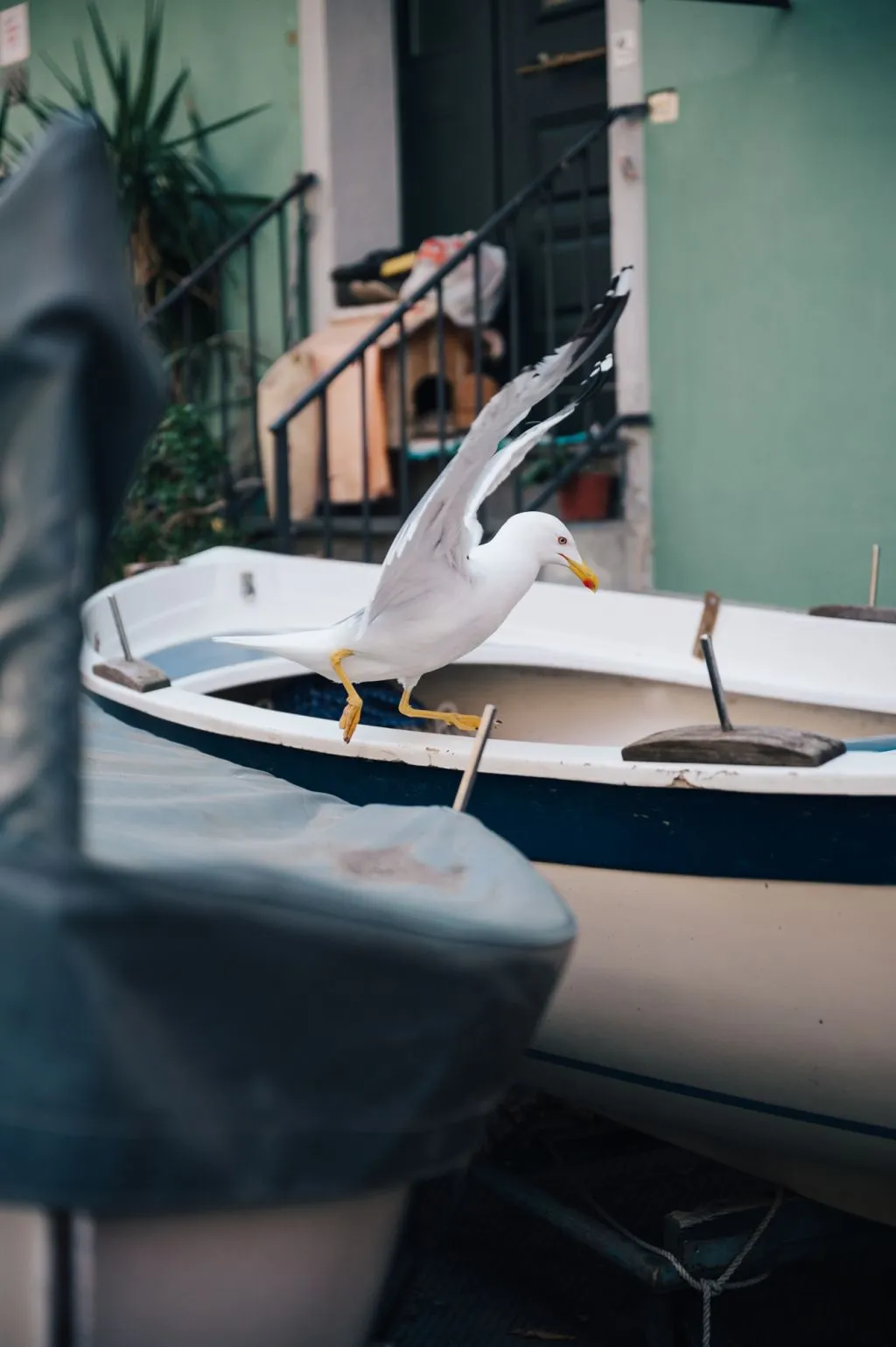 Cinque Terre: Gita di un giorno da La Spezia + Trasporto