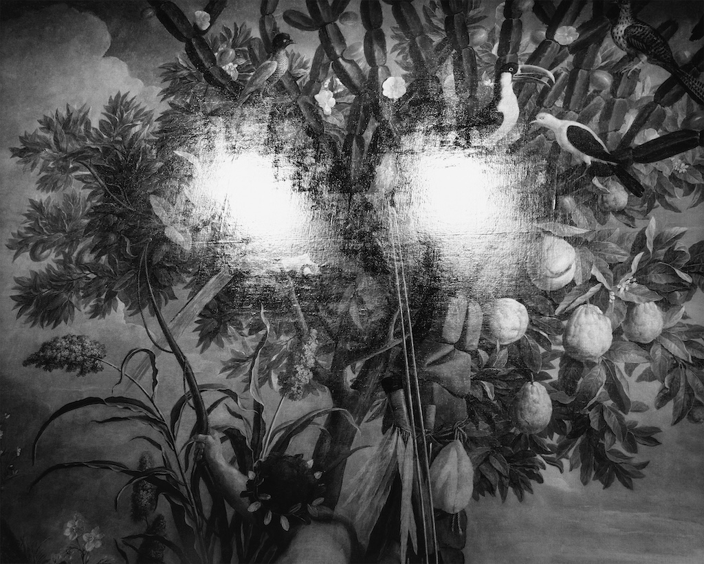 Villa Bardini: Lisetta Carmi. Suonare Forte Exhibition