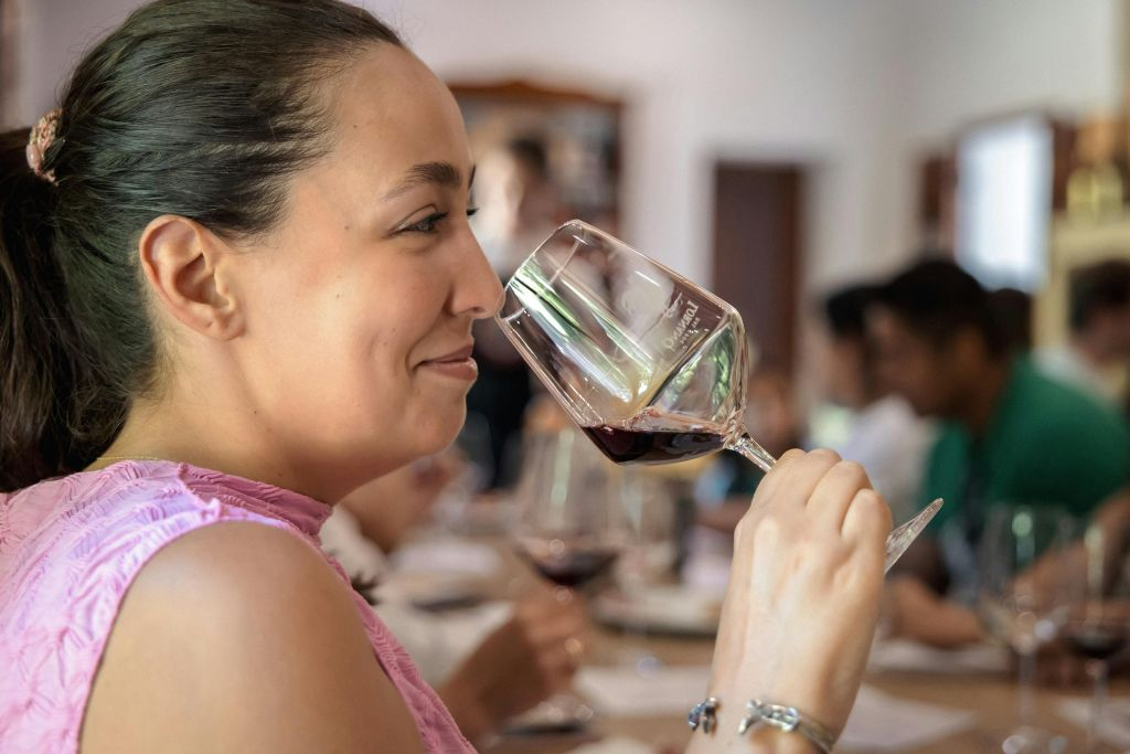 Regione del Chianti: Gita di un giorno da Firenze + Tour dei vigneti