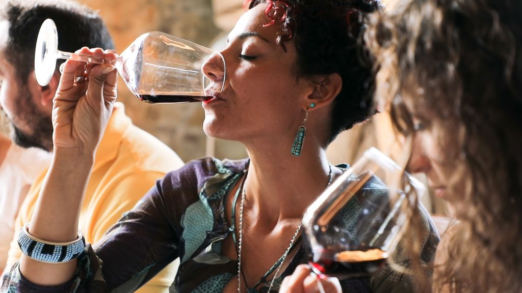 Região de Chianti: Viagem de um dia saindo de Florença + Passeio pelos vinhedos
