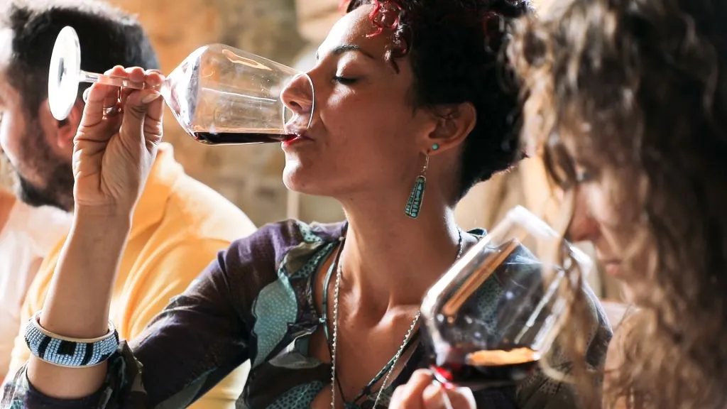Chianti Region: Day Trip from Florence + Vineyard Tour