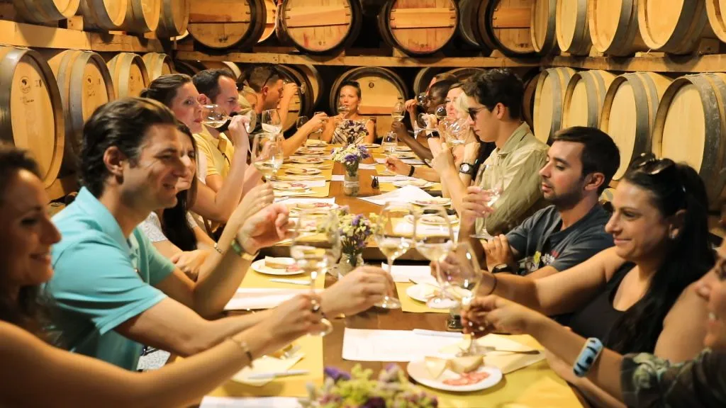 Chianti Region: Day Trip from Florence + Vineyard Tour