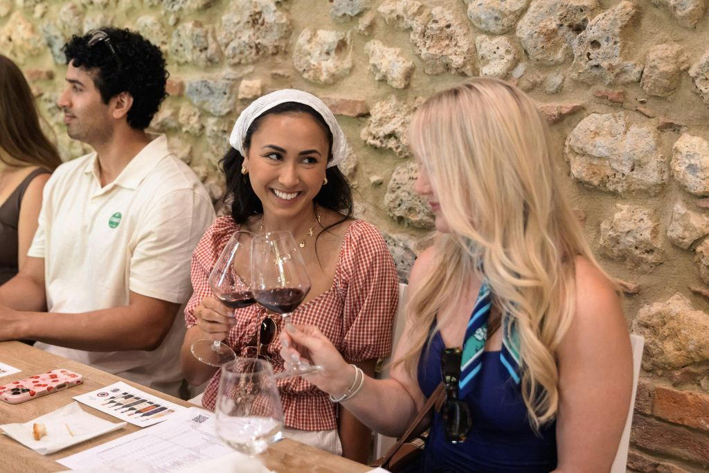 Regione del Chianti: Gita di un giorno da Firenze + Tour dei vigneti