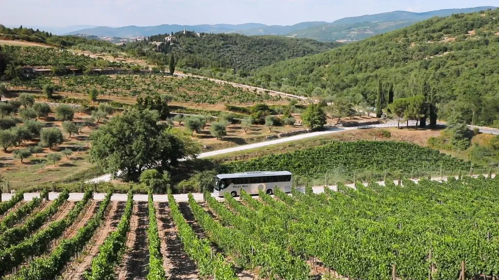 Chianti Region: Day Trip from Florence + Vineyard Tour
