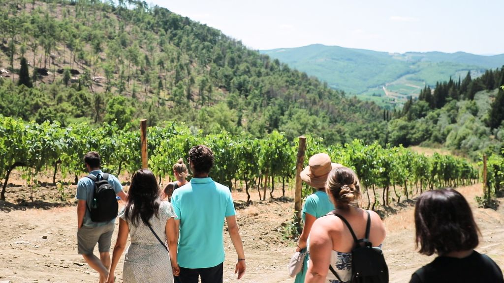 Região de Chianti: Viagem de um dia saindo de Florença + Passeio pelos vinhedos