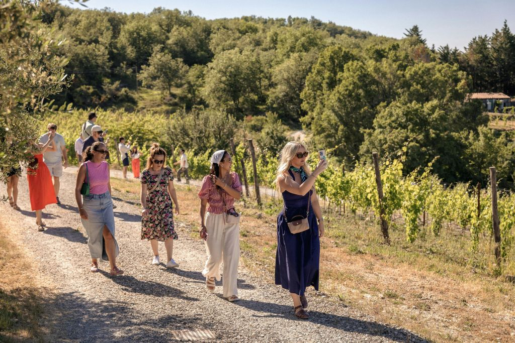 Regione del Chianti: Gita di un giorno da Firenze + Tour dei vigneti