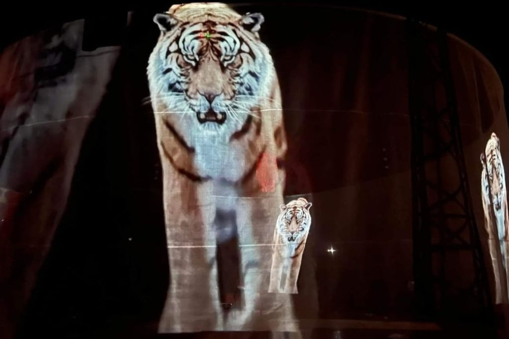 Rome: Circus Atmosphere Experience
