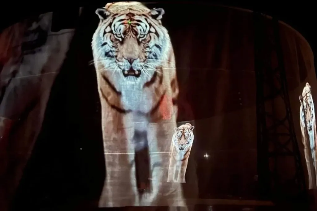 Rome: Circus Atmosphere Experience