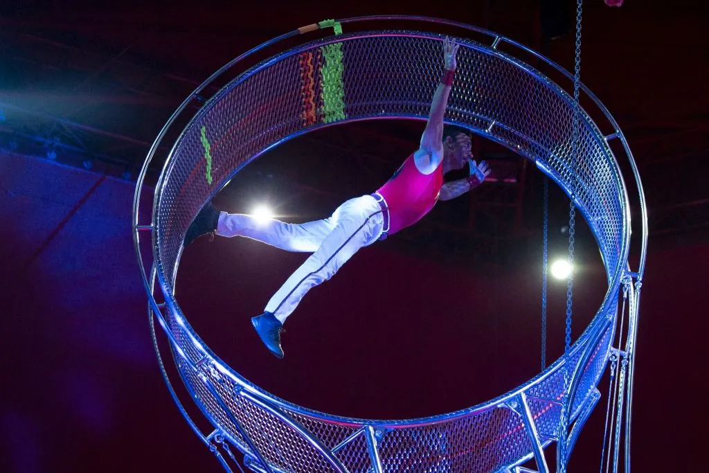 Rome: Circus Atmosphere Experience