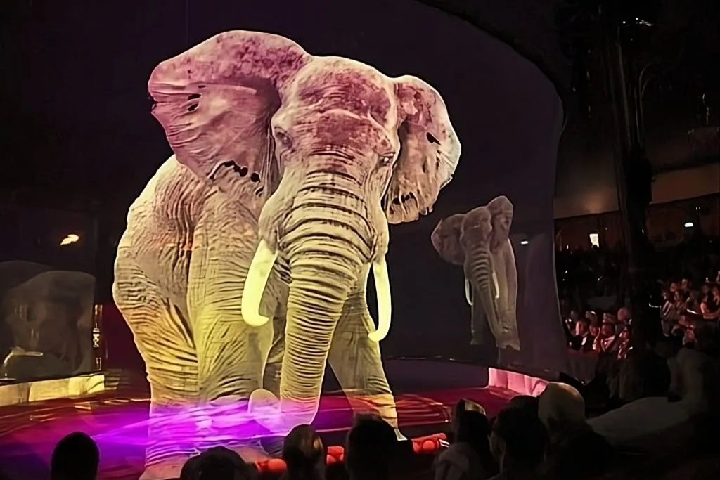 Rome: Circus Atmosphere Experience