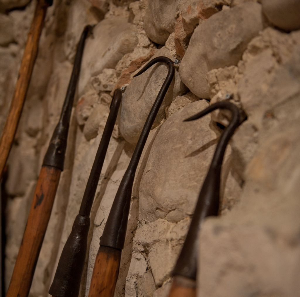 Musei del Cibo: Museo del Salame di Felino