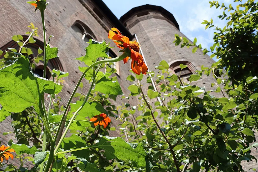 Palazzo Madama: Skip The Line Ticket