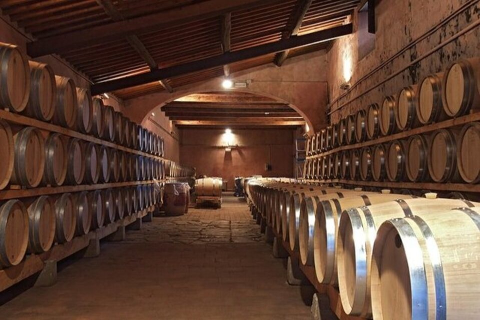 Val D'Orcia: Wine Tasting Tour + Roundtrip from Siena